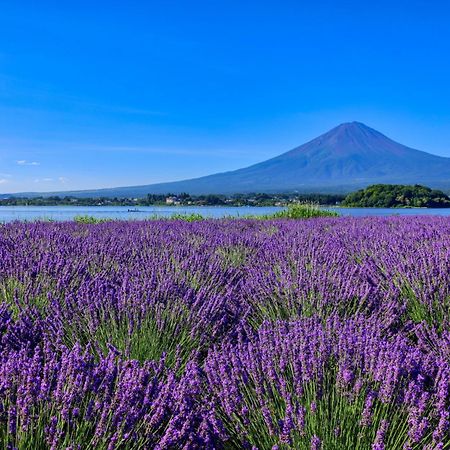 グランファーム富士河口湖 Granfarm Fujikawaguchiko Hotell Exteriör bild